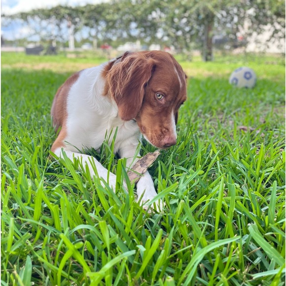 Anything You Could Need Right here - Picture 1 of 1